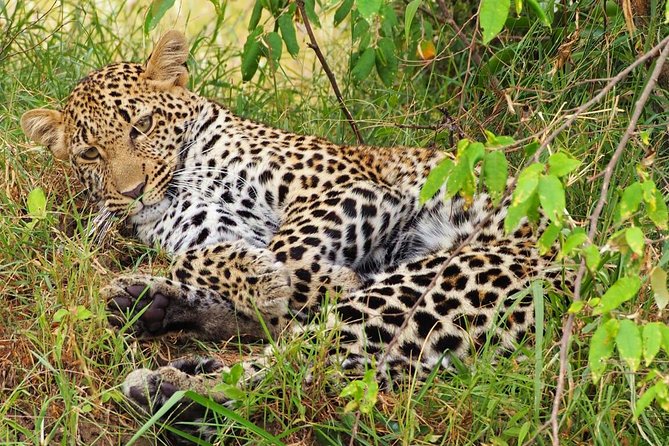 3 Days 2 Nights Budget Group Safari to Maasai Mara National Reserve - Inclusions and Exclusions