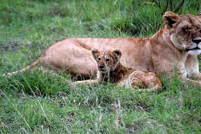 3 Days Best of Maasai Mara Budget Safari - Inclusions