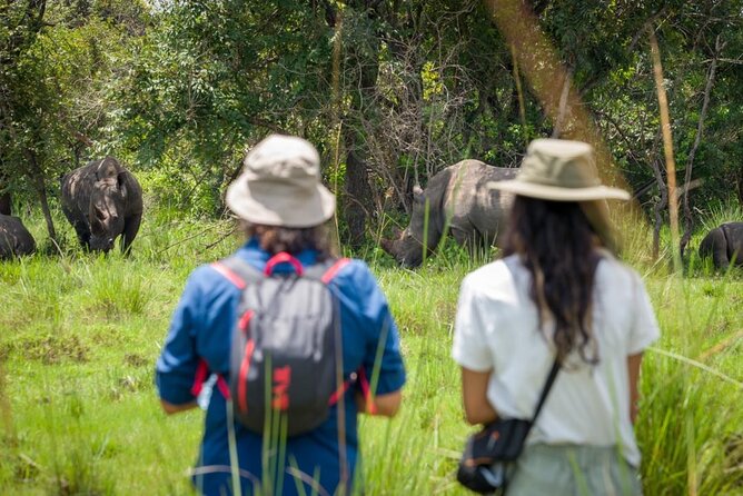 3 Days Gorilla Trekking Safari Tour in Uganda - Trekking Experience