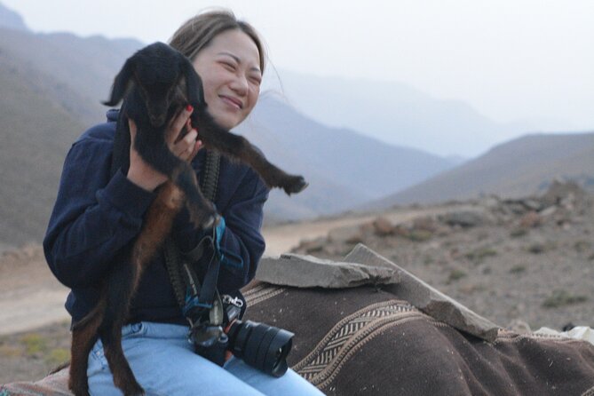 3 Days Homestay With Last Berber Nomads in the Atlas Mountains - Pickup and Transport