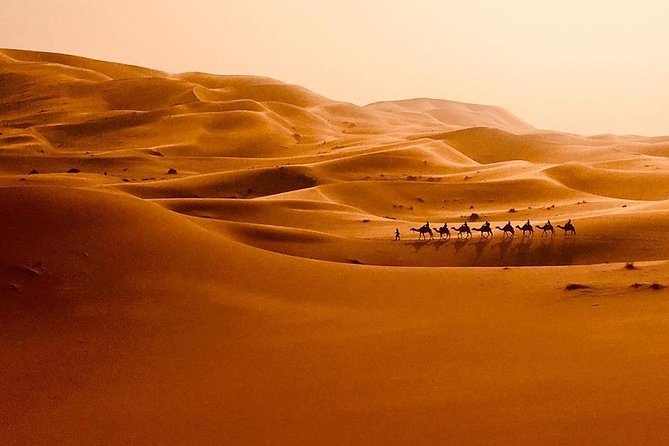 3 Days Private Sahara Adventure - Camel Ride in Erg Chebbi