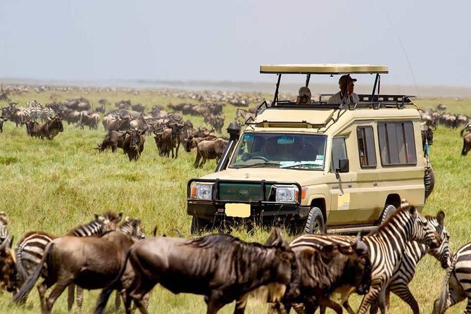 4 Day Masai Mara & Lake Nakuru Group Joining Camping Safari - Daily Departures - Included in the Safari