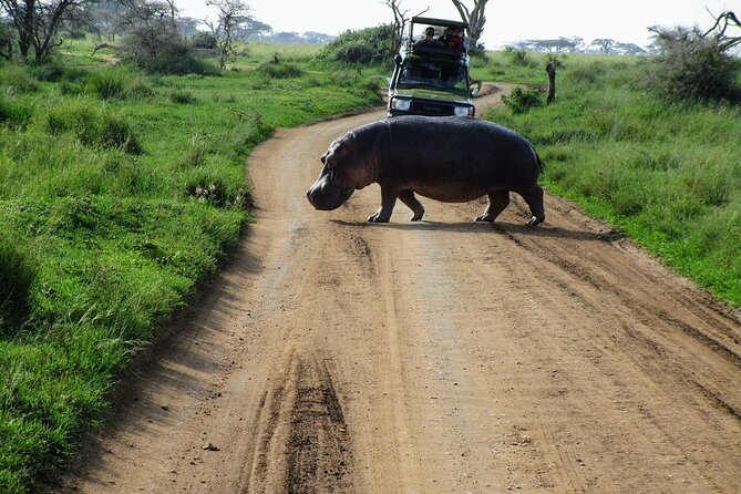 4-Day Tour in Lake Nakuru, Lake Naivash, Masai Mara From Nairobi - Accommodation Options