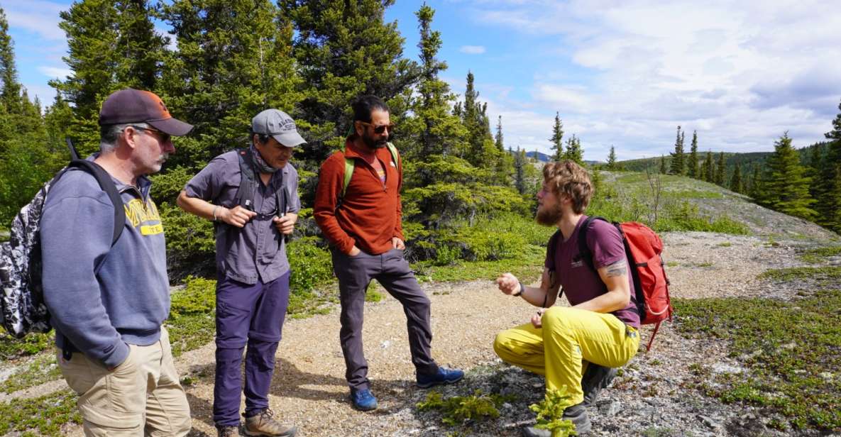 4 Hour Off-Trail Wilderness Wonders Tour in Denali - Indulging in Natures Edible Delights