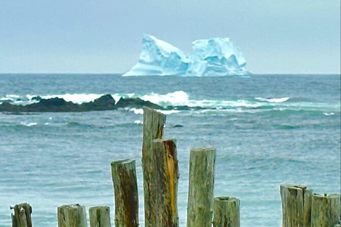 4 Hour St John'S Tour W Come From Away Star (Lunch Included) - Lunch Included