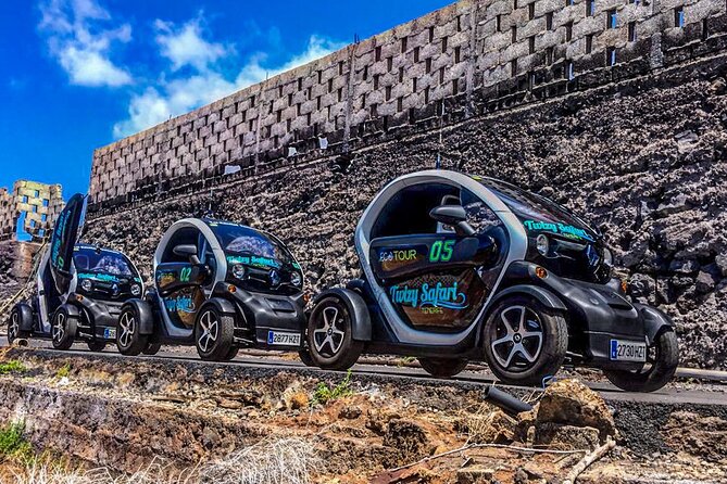 4 Hours Eco Safari Tour With Electric Car in Tenerife - Highlights of the Experience