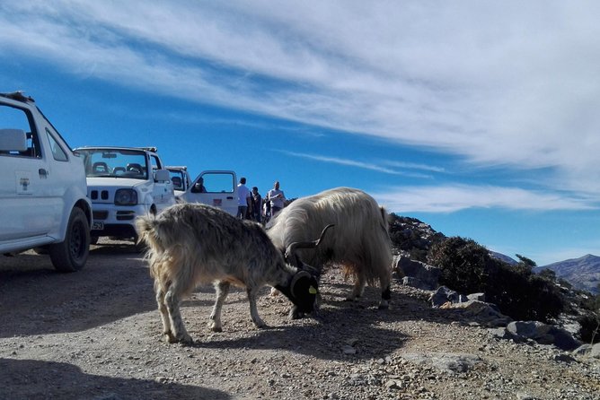 4x4 Self Drive Adventure_Cretan Mainland - Conquer the Rugged Terrain