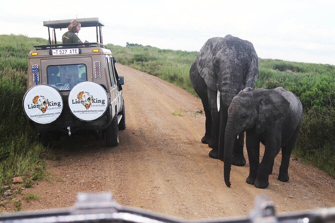 5-Day Highlights Mid-Range Crater, Serengeti, Tarangire - Wildlife Sightings