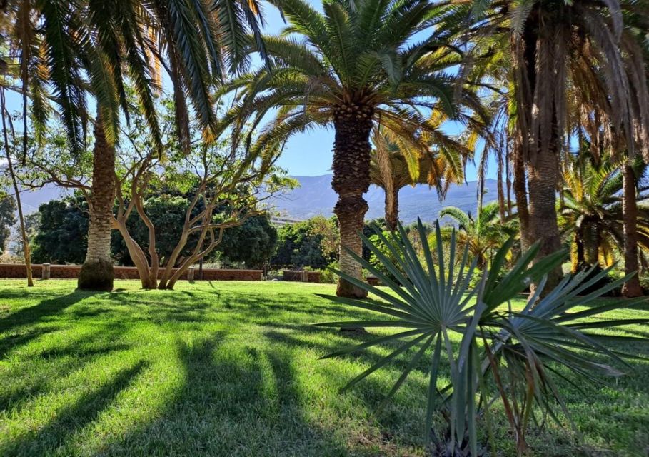 5 Day Wellness & Relaxation Break in Northern Tenerife - Included Activities and Daily Schedule