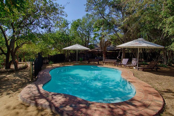 6 Day Lodge and Treehouse Kruger National Park Safari - Ranger-Led Bush Walks