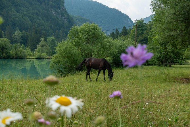 7 Alpine Wonders- Day Tour Bled, Soca Valley, Slovenia - Included in the Tour