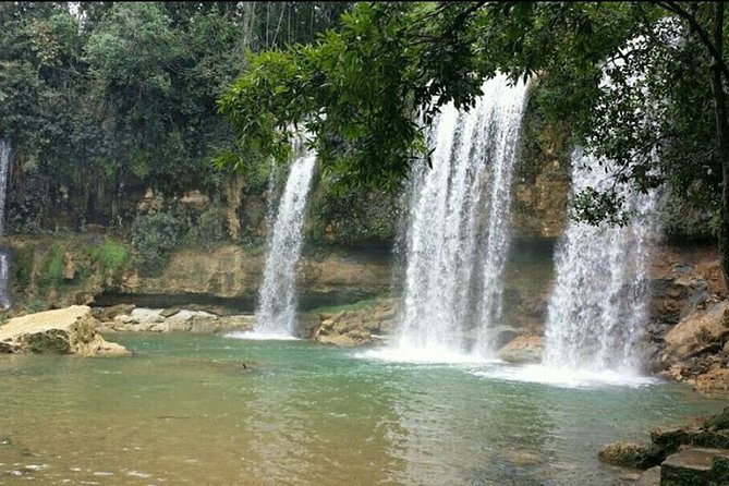 7 Hour- Private Nature Tour of the Monte Plata Rainforest - Pickup Information