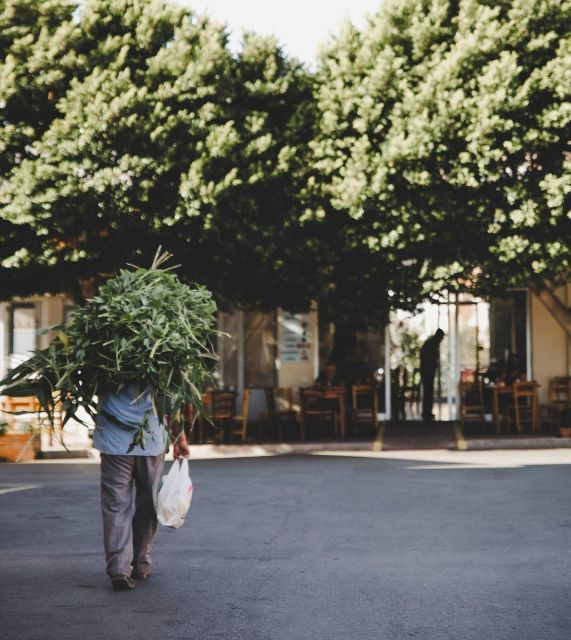 A Culinary Journey to Lassithi Plateau. From Heraklion. - Itinerary Highlights of the Plateau