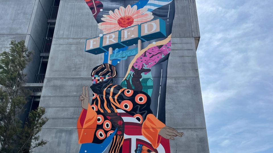 Aalborg Street Art: Explore 79 Wall Paintings - Experience Details