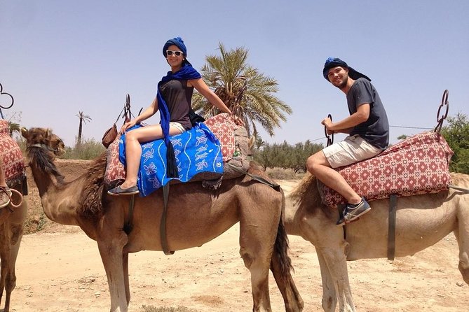 Activities in Marrakech Camel Ride Tour in Palm Grove - Pickup and Transportation