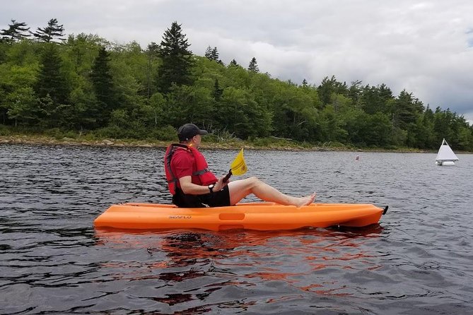 Adult Single Kayak Rental - Rental Equipment and Gear