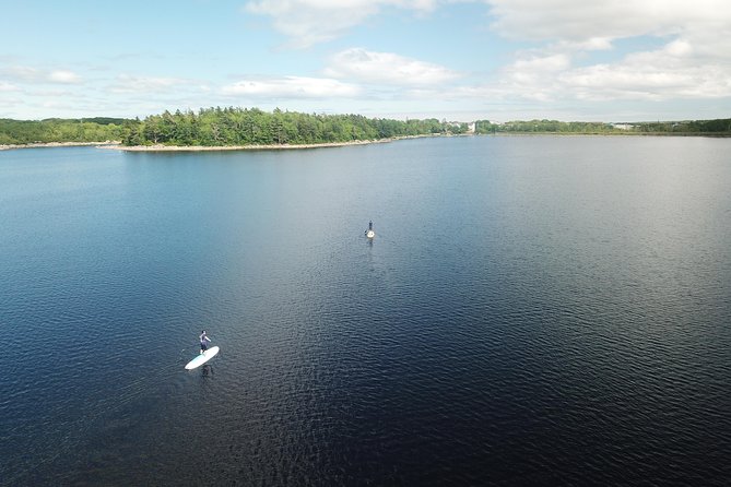 Adult Stand-Up Paddle Board Rental - Inclusions