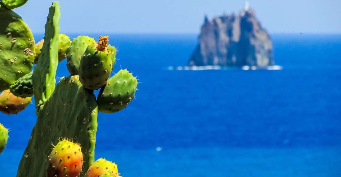 Aeolian Islands: 8-Day Excursion Tour and Hotel Accomodation - Included in the Tour