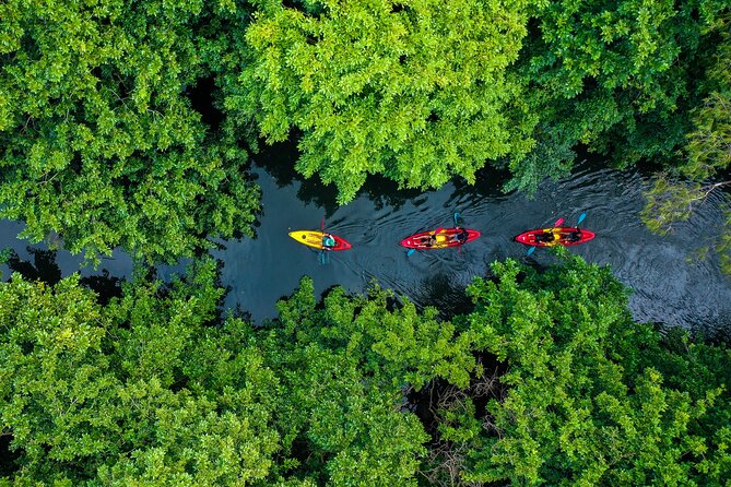 Afternoon Guided Kayak Tour on the Tamarin River - Meeting and Pickup Location