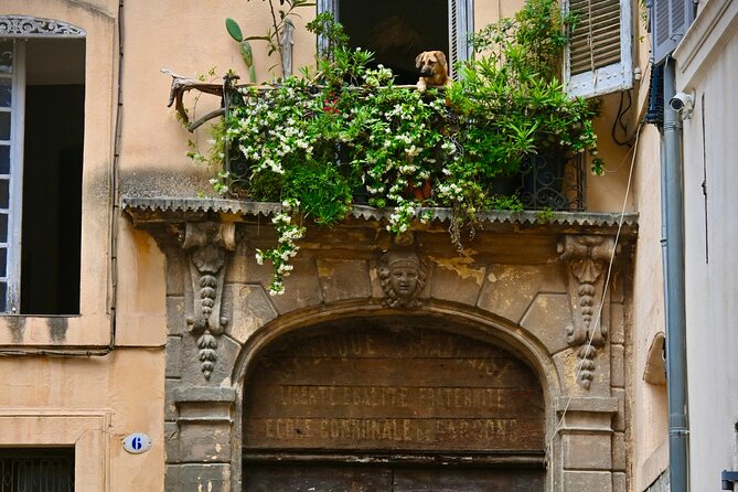 Aix-En-Provence Walking Historic Highlights Tour With a Local - Locally-Sourced Culinary Delights