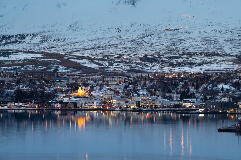 Akureyri: Arctic Coastline & Whale Watching - Whale Watching Adventure