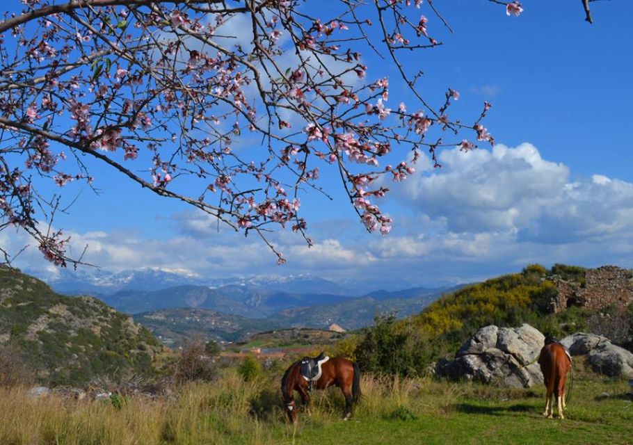 Alanya: Horse Riding Adventure - Breathtaking Alanya Peninsula Views