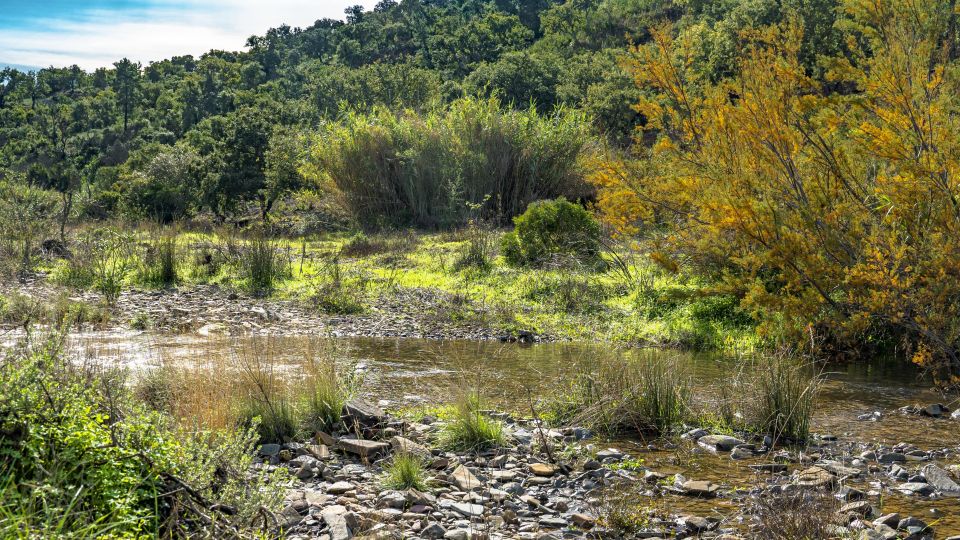 Albufeira: Full Day Off-Road Buggy Tour With Lunch & Guide - Highlights of the Experience