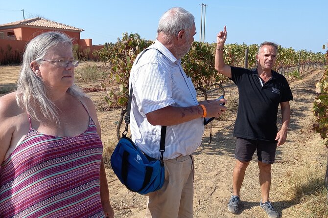 Albufeira Tour: Winery Wine and Tapas Boards - Included Activities and Features