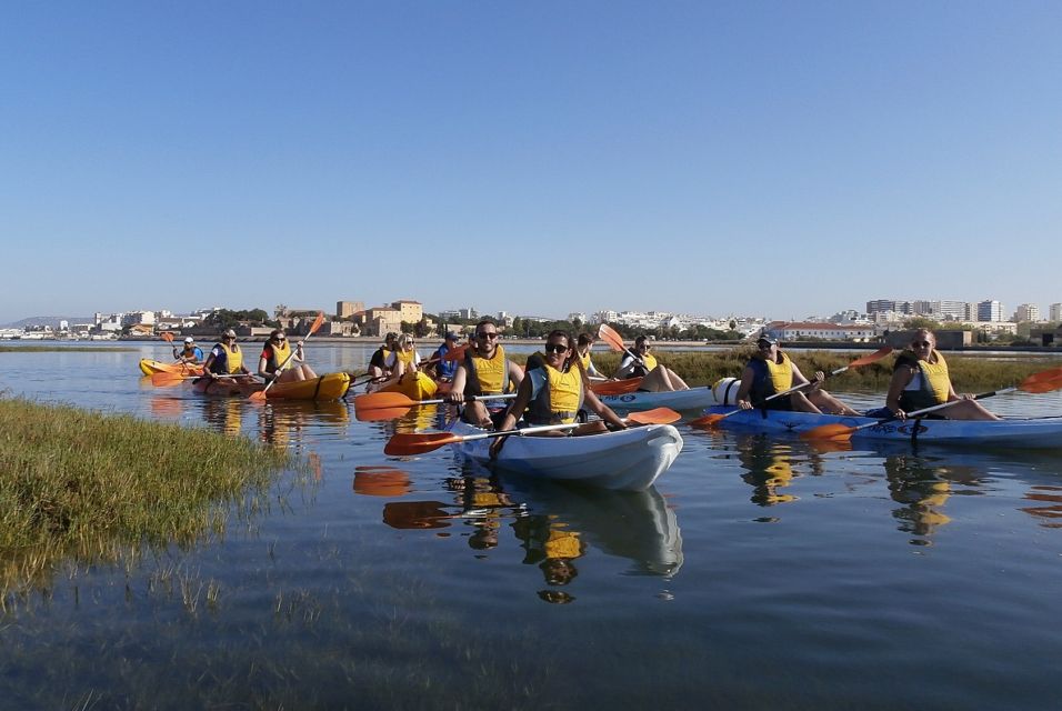 Algarve: 2-Hour Ria Formosa Kayak Tour From Faro - Pricing and Group Size