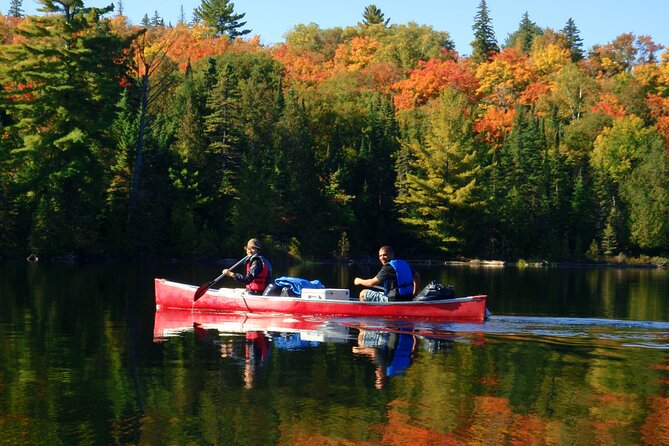 Algonquin Park 4-Day Luxury Moose/Beaver/Turtle Camping & Canoeing Adventure - Spotting Elusive Wildlife Encounters