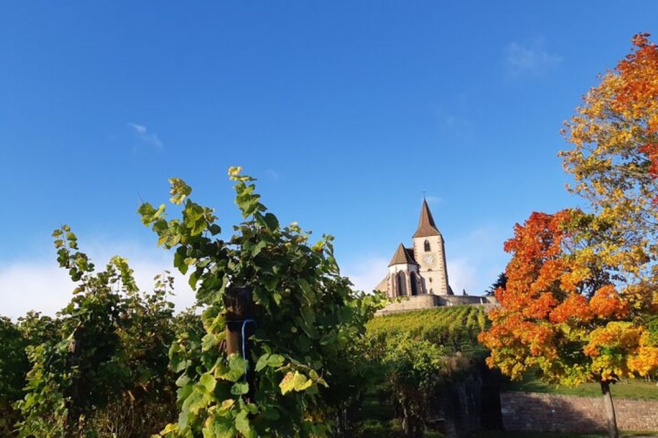 Alsace: Half-Day Wine Tour From Colmar - Meeting Point and Duration