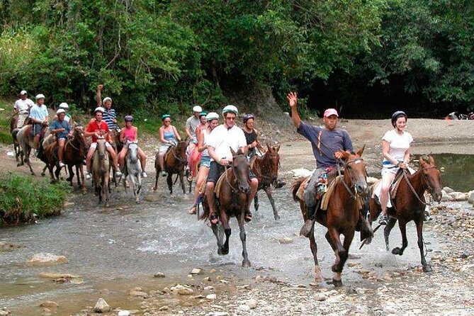 Amazing 3-Hour Horseback Riding at Puerto Plata With Pickup - Tropical Landscape Exploration