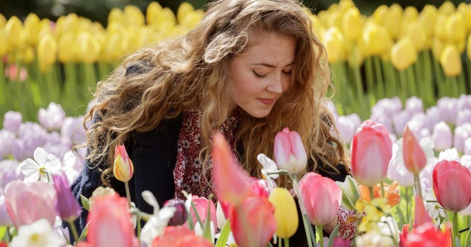 Amsterdam: Keukenhof Entry and Roundtrip Shuttle Transfer - Shuttle Service and Flexibility