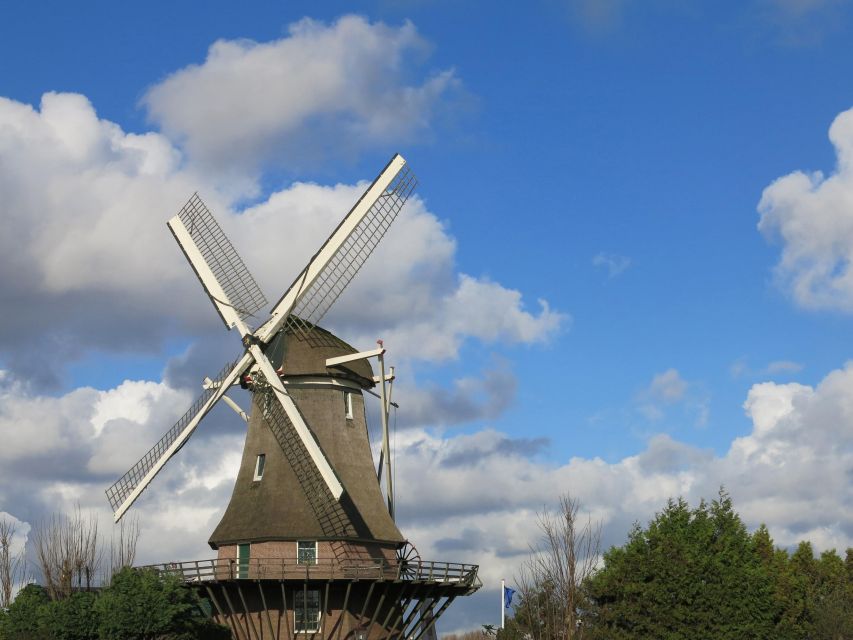 Amsterdam: Windmill Guided Tour - Activity Highlights