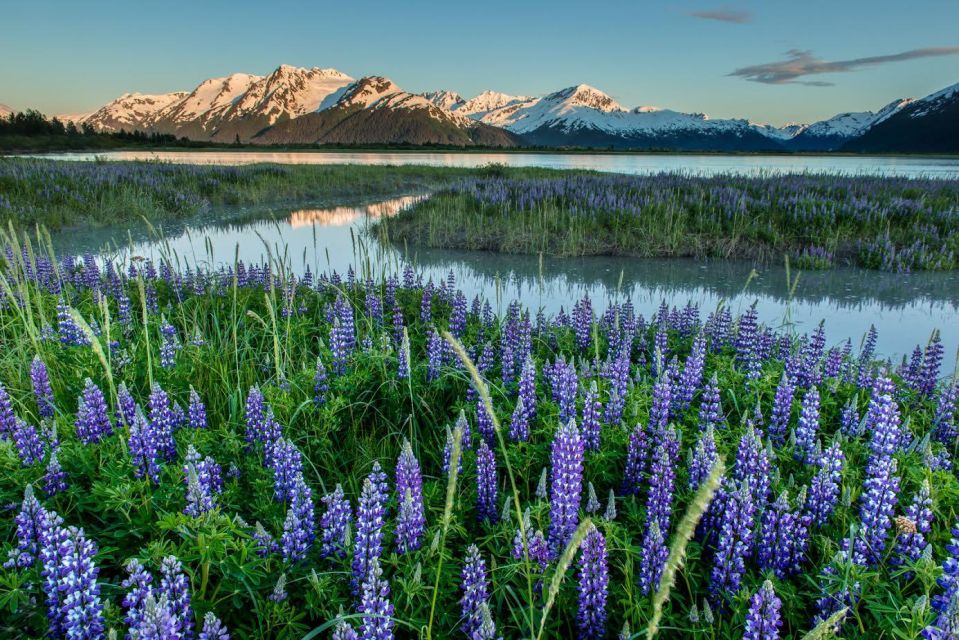 Anchorage: Turnagain Arm Highlights Photography Day Trip - Discovering Hidden Photo Spots