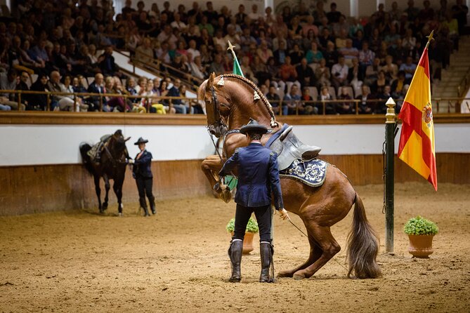 Andalusian Horses Dance Show - Choreographed Equestrian Routines