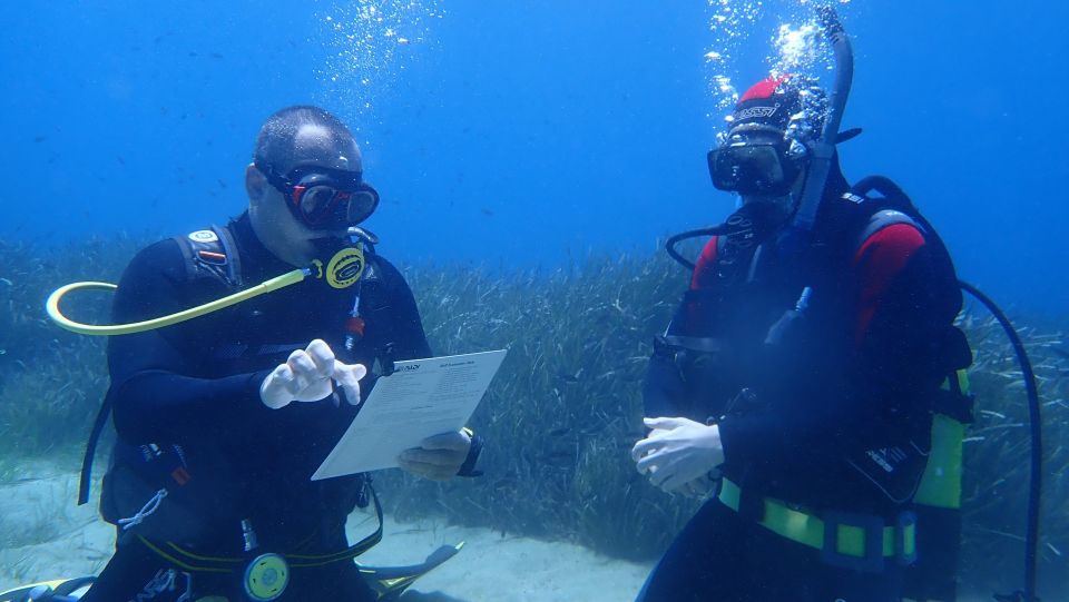 Andros: Get Your Padi Open Water Certificate! - Pricing and Booking