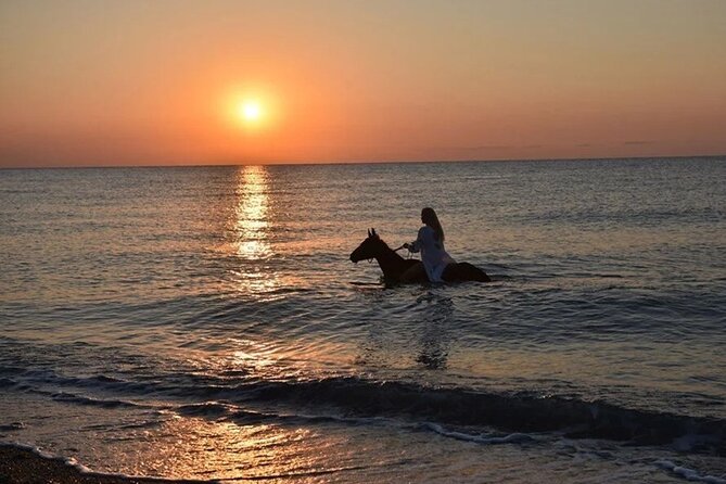 Antalya Horse Riding On Beach And Through The Forests For 2 Hours - Inclusions and Restrictions