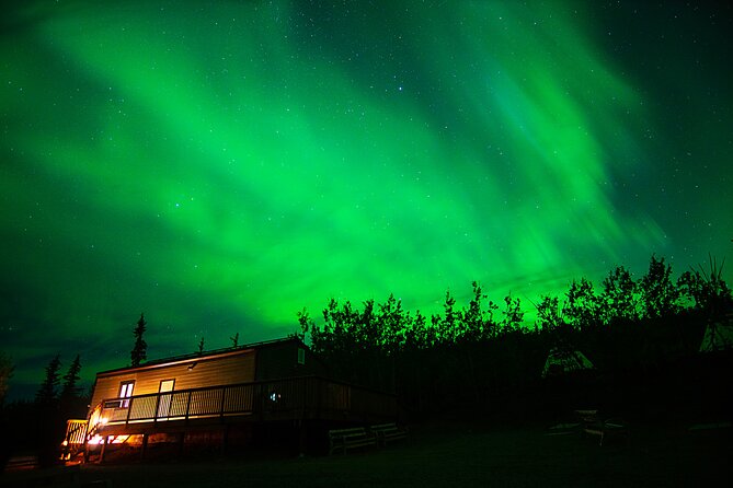 Arctic Day: Aurora Viewing Tour | Late Night - Highlights of the Experience