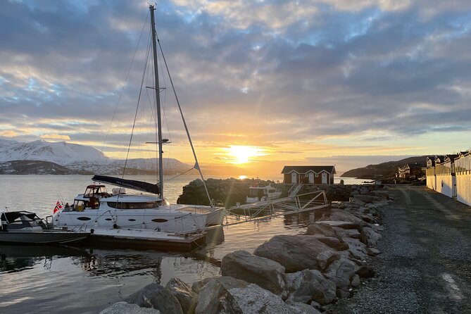 Arctic Fjordcruise & Safari in Tromso With Luxury Catamaran - Meeting Location