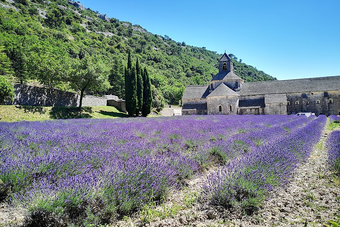 Arles Small Groupe Tour : Private Day Trip to Luberon Villages - Logistics and Accessibility