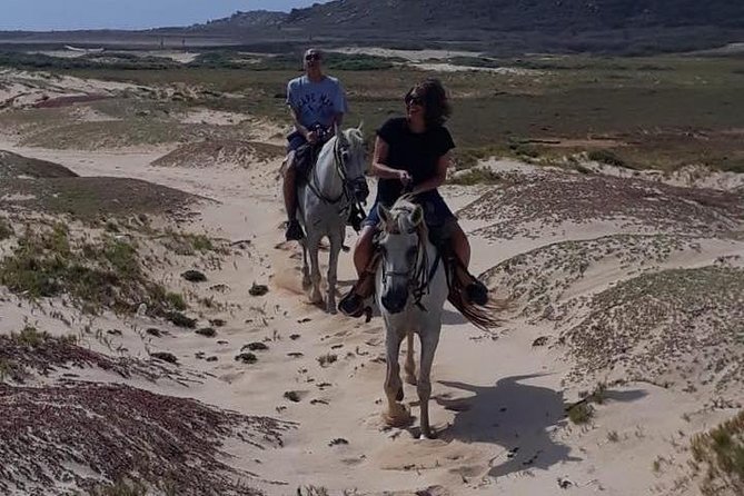 Aruba Countryside: Horseback Adventure to Urirama Cove - Restrictions and Requirements