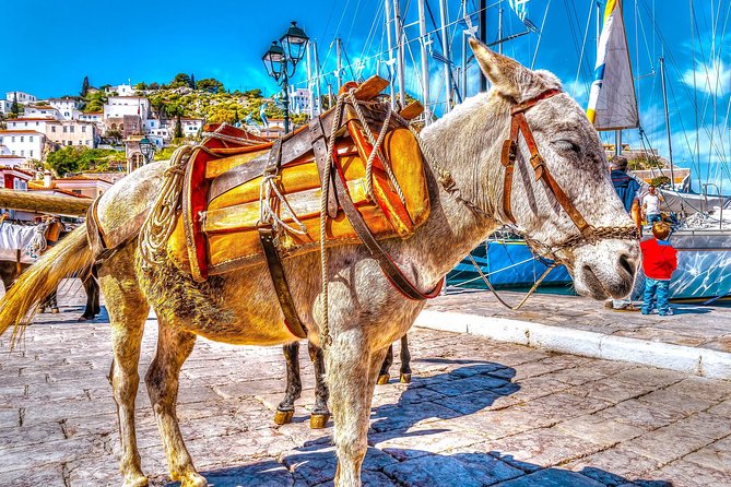 Athens: 1-Day Cruise to Poros, Hydra & Aegina Islands With Lunch - Included Amenities