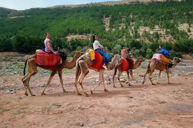 Atlas Mountain From Marrakech - Accessibility