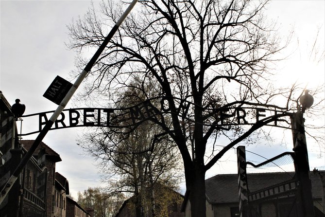 Auschwitz-Birkenau Self-Guided Tour With Private Transport From Krakow - Tour Highlights