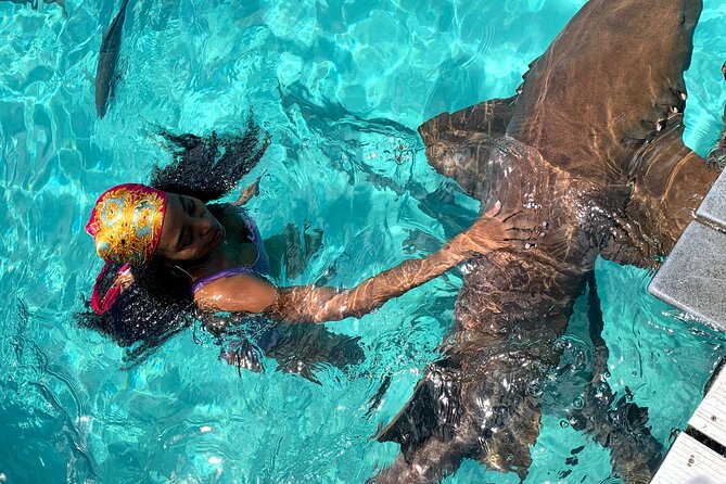 *Authentic Swimming Pigs Tour*Shark Encounter*Feed Iguanas* - Tour Highlights