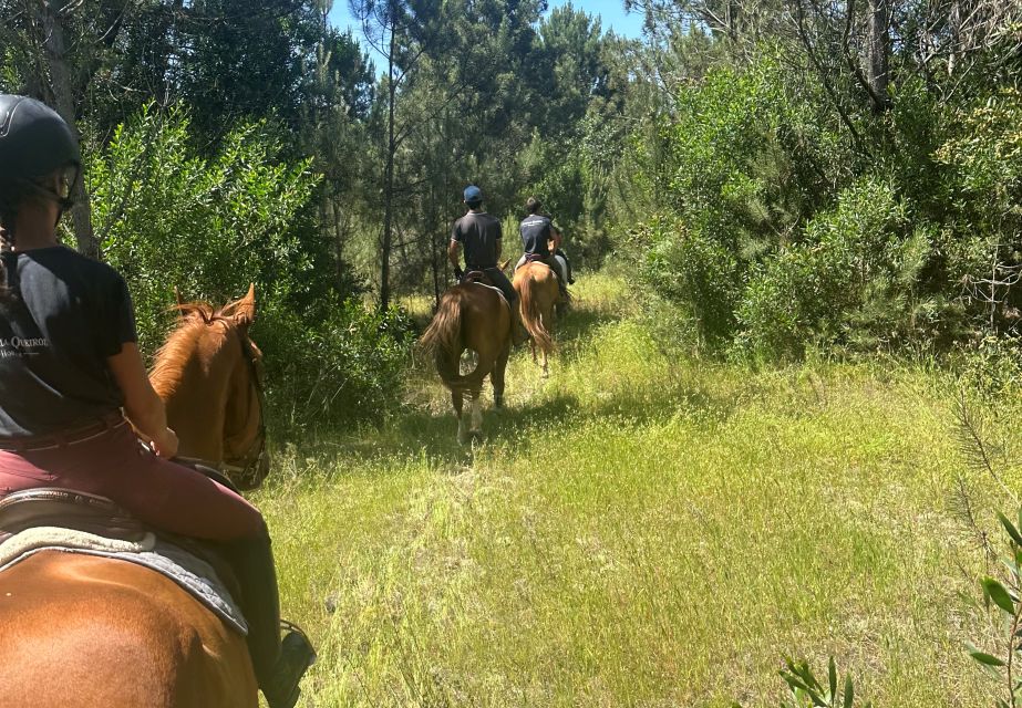 Aveiro: Horse Riding Experience With Instructor - Booking Details