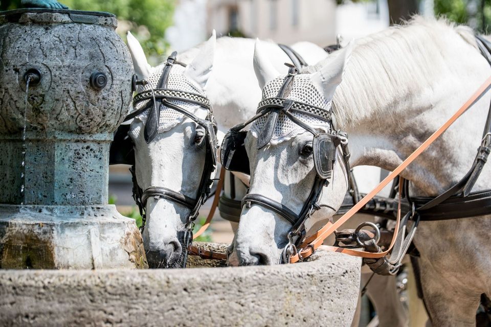 Baden-Baden: Private Walking Tour With A Professional Guide - Second Congress of Rastatt