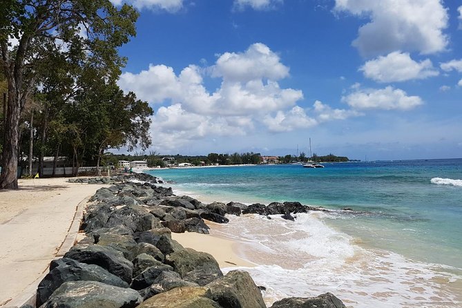 Barbados Full-day Private Tour - Ratings and Pricing