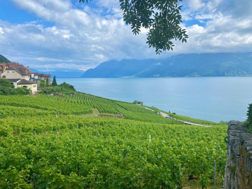 Basel: Gruyères and Lavaux Private Wine and Cheese Day Trip - Itinerary Overview